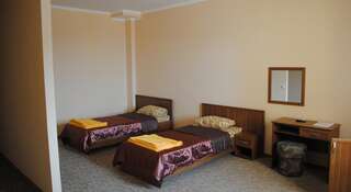 Гостиница Трискеле Судак Судак Двухместный номер с 1 кроватью или 2 отдельными кроватями-15
